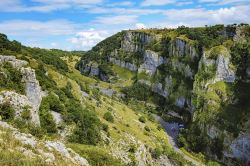 Mendip Hills