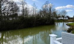 Swift Moselle
