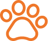 Dogs